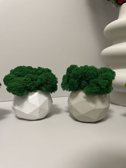 Doniczka betonowa z chrobotkiem