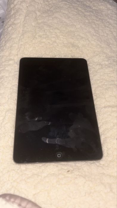 iPad mini 2.ª geração