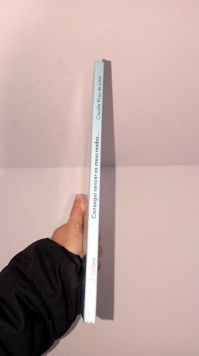 Consegui vencer os meus medos - Chiado Editora