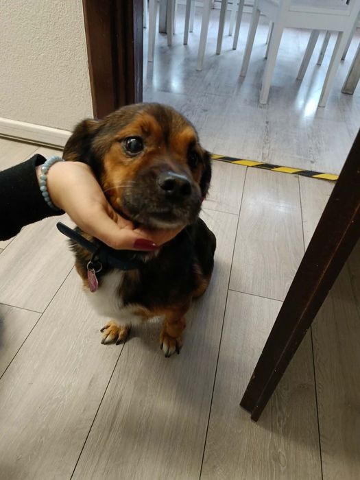 Oddam w dobre ręce