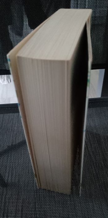 Rio de Flores de Miguel Sousa Tavares