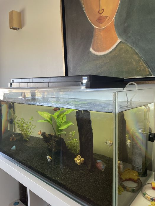 Aquário 115 litros