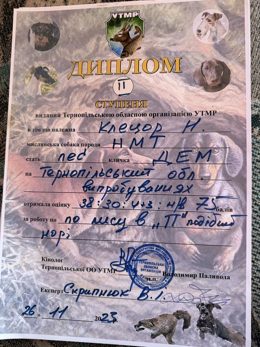 Цуценята Ягдтерєра!