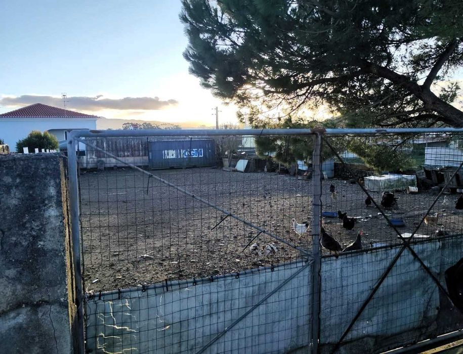 Terreno urbano com 540 m² em ARMÉS, TERRUGEM - SINTRA
