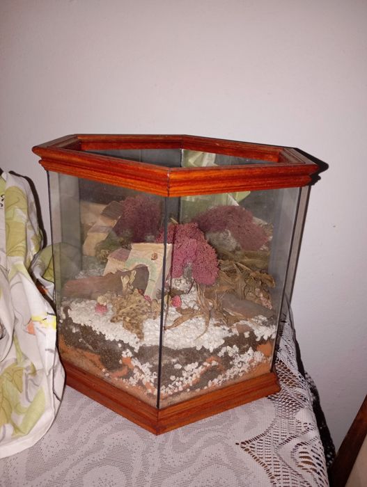 Terrário hexagonal decorativo