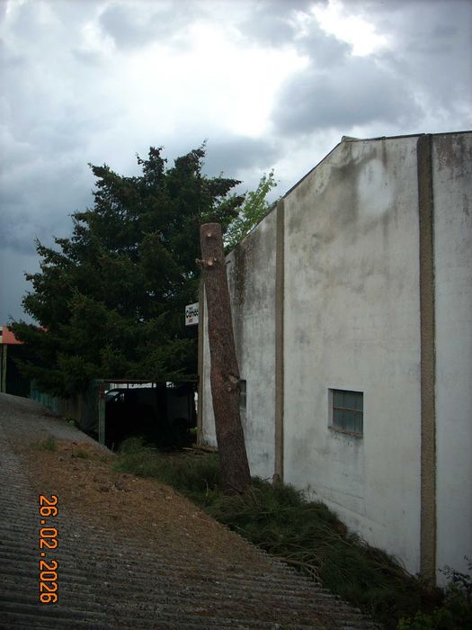 cortador podador de árvores