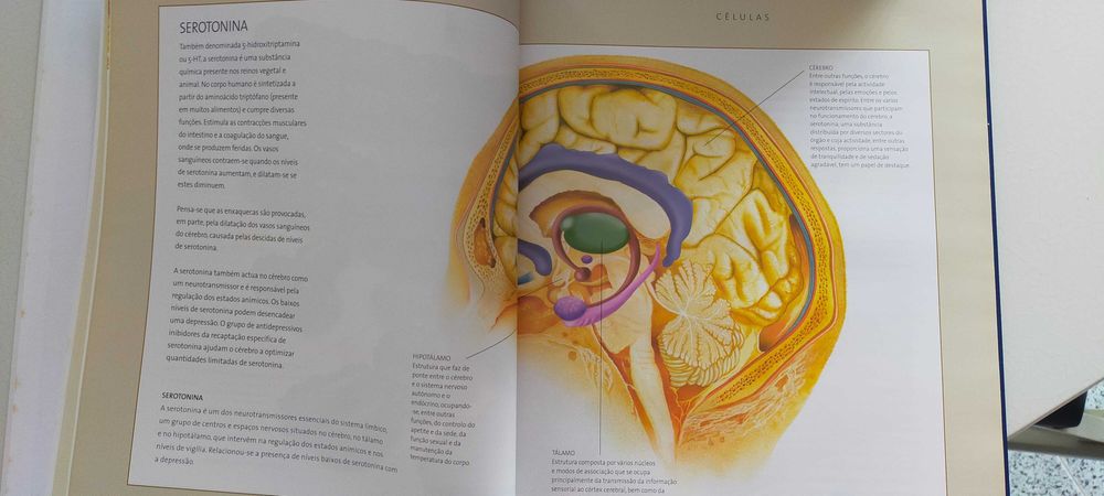 Coleção Atlas do Corpo Humano - 15 Livros