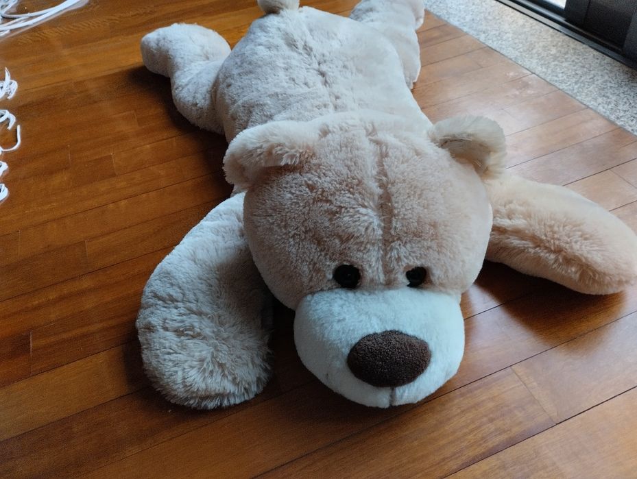Ursinho de pelúcia novo