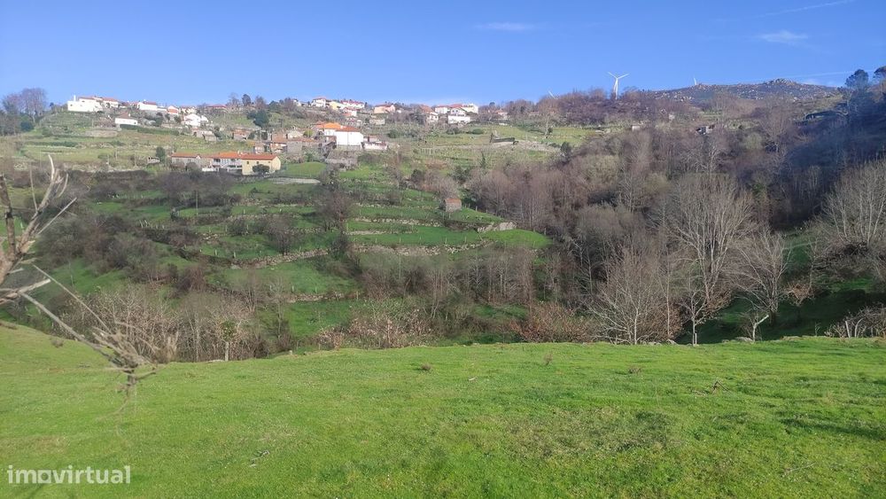 Terreno Rústico  Venda em Loivos do Monte,Baião — Loivos do Monte, Porto