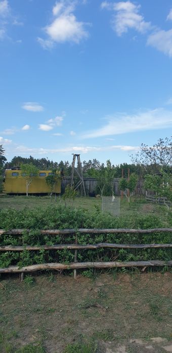 Ділянка 18,5 сот поруч з лісом, пилорама, госп.будівлі,с. Сінгури