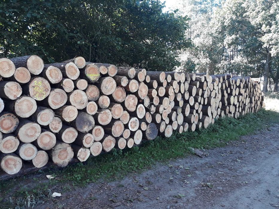 Papierówka paletowa So, Św,Kłoda WK, drewno Opał, Transport
