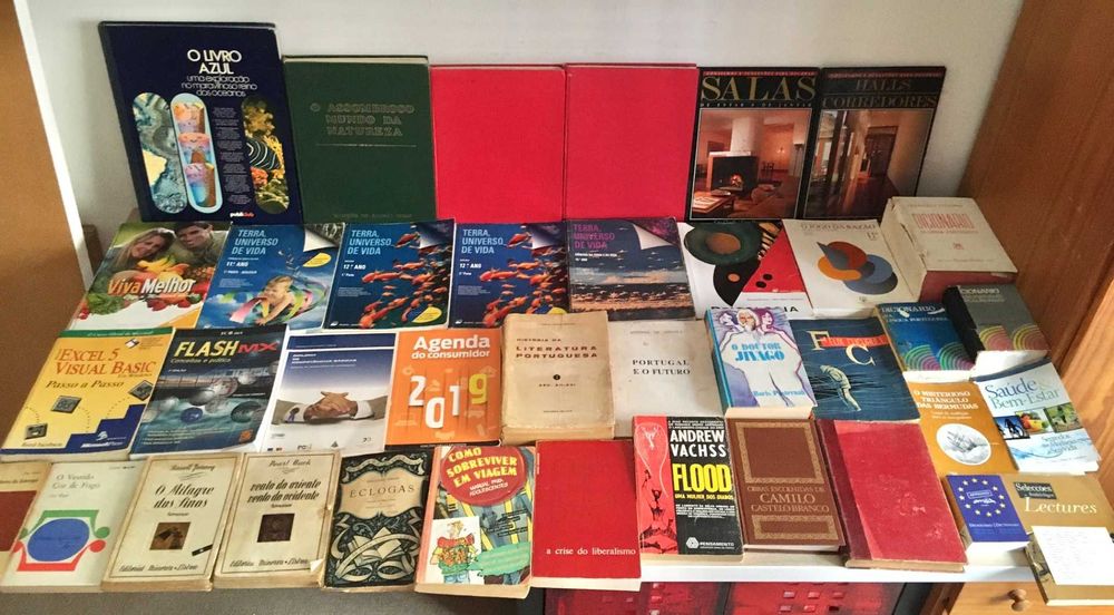 Lote de 38 livros