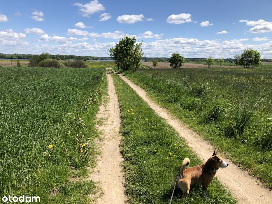 Działka rolna 3574 m² z linią brzegową (Złożony wniosek o WZ) - Widok 4