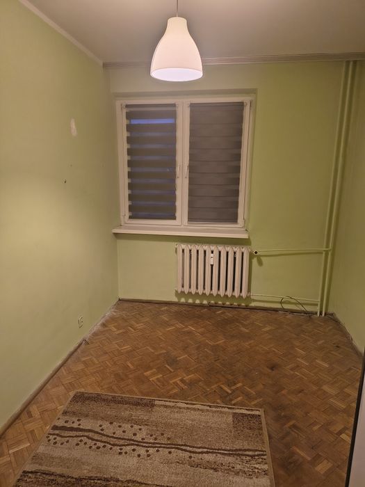Zdjęcie 3