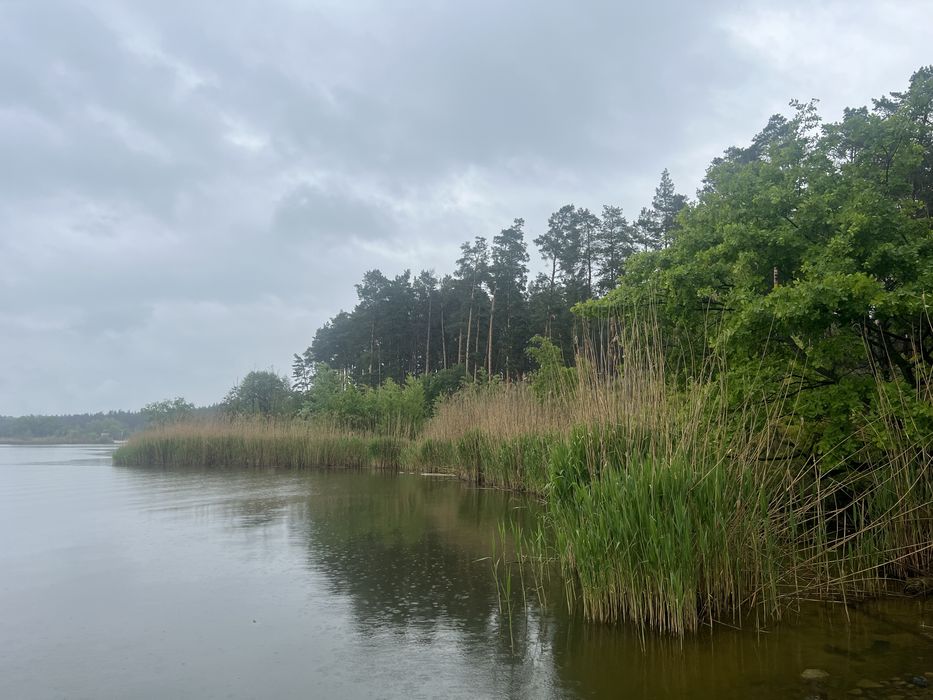 Продажа участка 108соток Вода Лес Таценки/земельна ділянка Ліс Вода