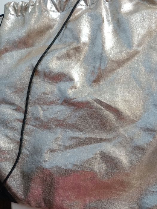 Balenciaga мішок пильник