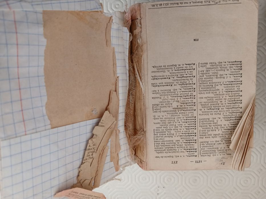 Dicionário de Língua Portuguesa