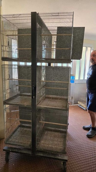 Armaçao em ferro para passaros