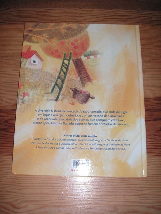 O Macaco de Rabo Cortado e A Princesa da Chuva - Plano N Leitura