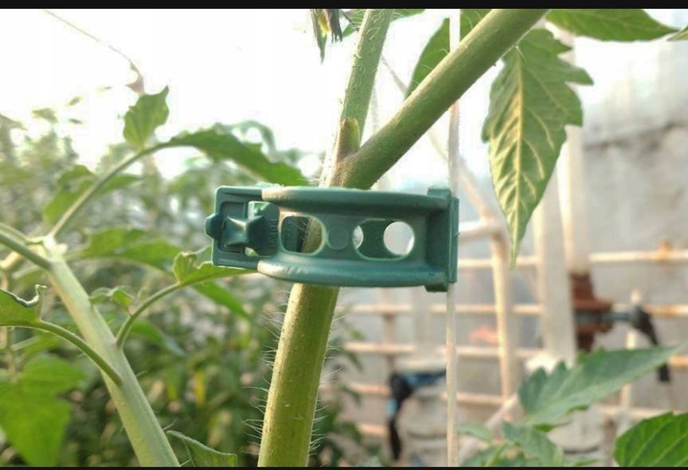 Zapinki, klipsy do pomidorów,winogrona i wiele innych 100szt.