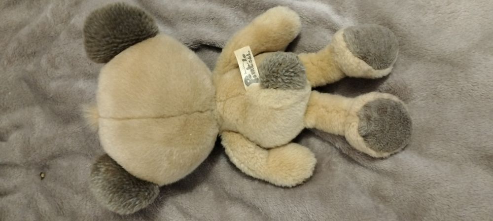 Miś Pimboli Depesche