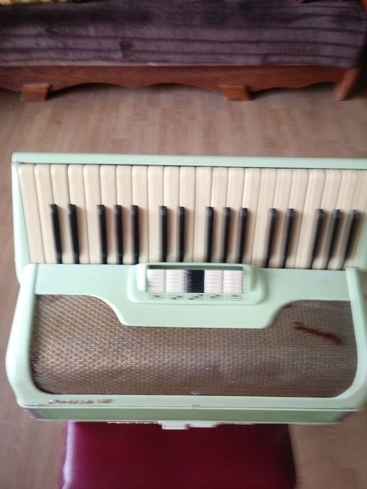 Akordeon Weltmajster 96 basòw