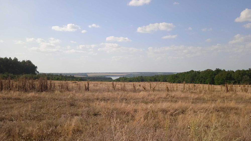 Хата в Жерденівці