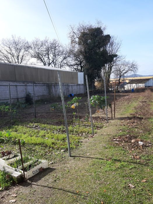 Vende-se terreno de 850 M Tamel São Veríssimo Marcelo