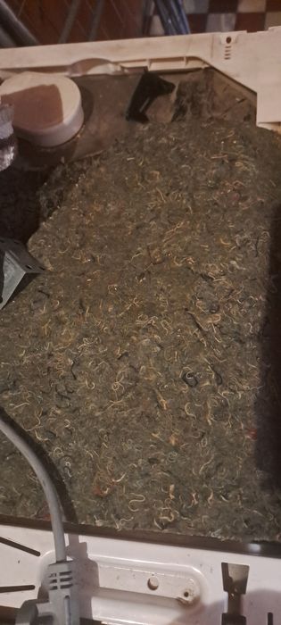 Zmywarka do zabudowy aeg 45 cm