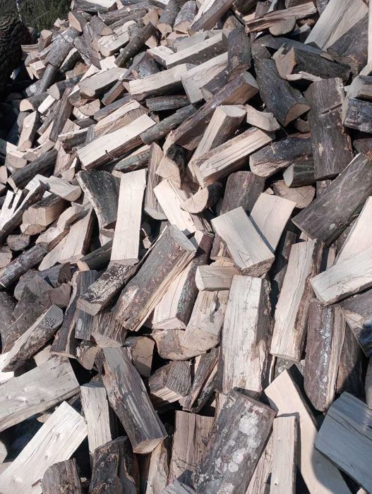 Brzoza Rąbana Nasypowe