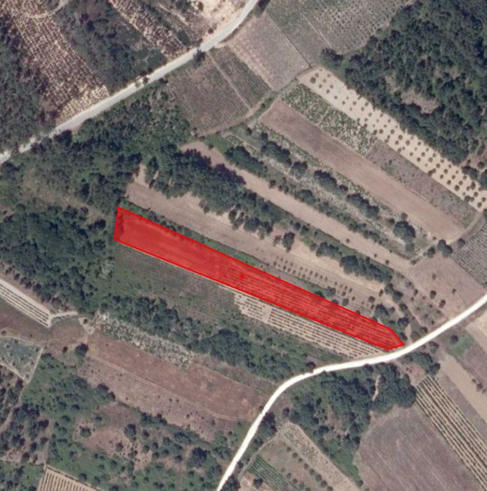 Vendo terreno em Pombal — Pombal, Leiria