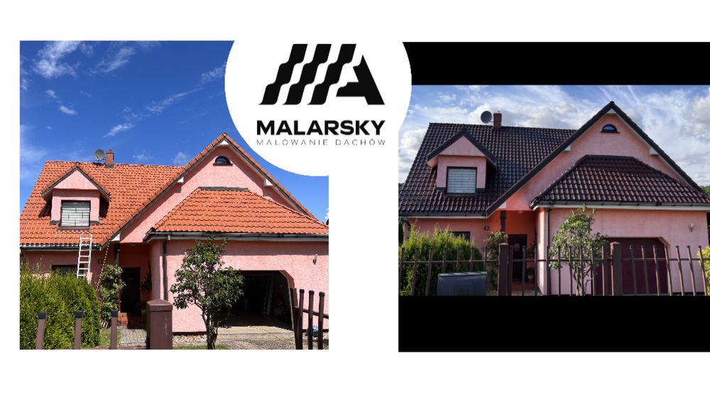 Malowanie, mycie dachów oraz ogrodzeń betonowych