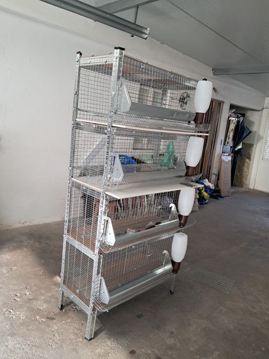 Venda jaulas para codornizes