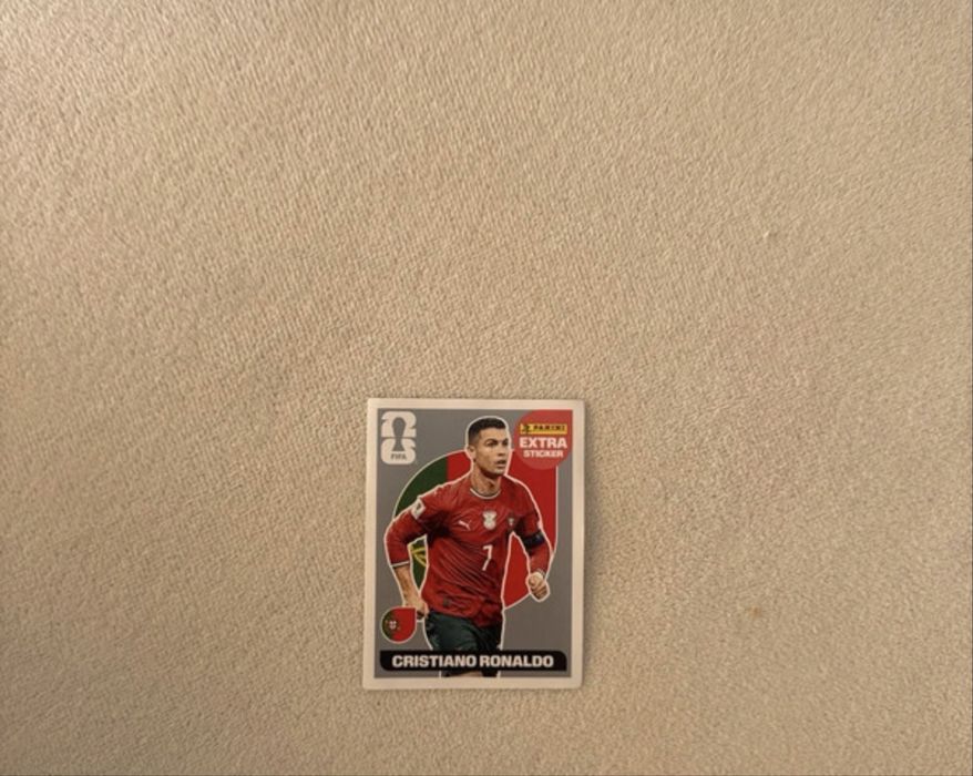 Extra sticker panini