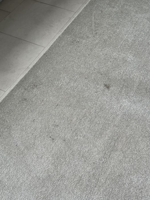 Tapete cinza de sala