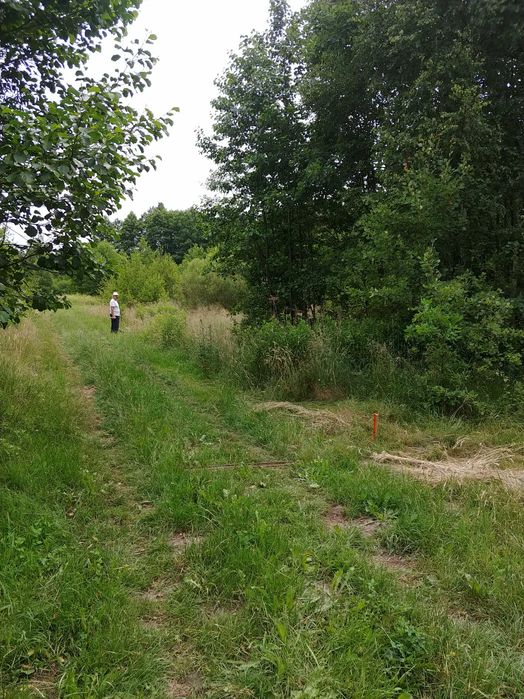 Działka Kąty Czernickie. Gmina Strachówka. 1625mkw. Warunki zabudowy