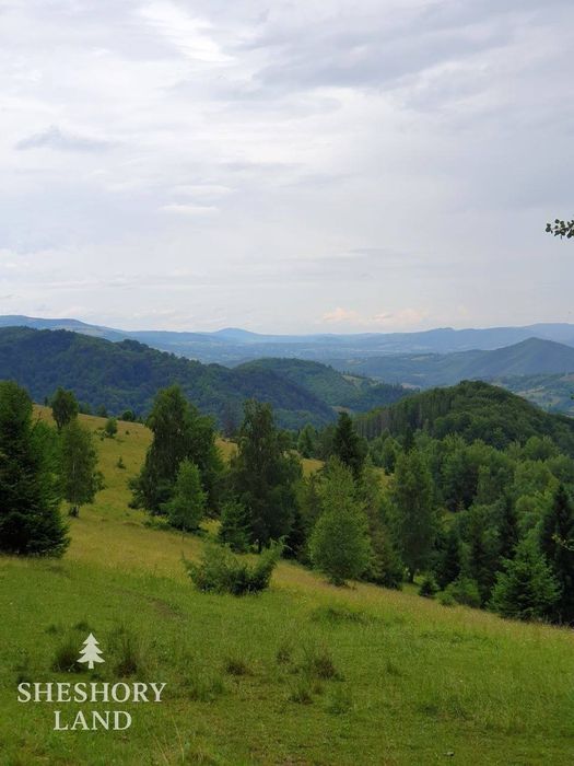 Будинки та земельні  ділянки в Шешорах