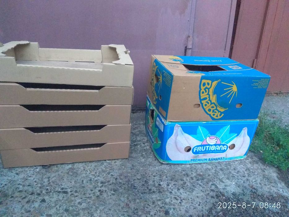 Ящики от бананов, пластиковые и євротара!