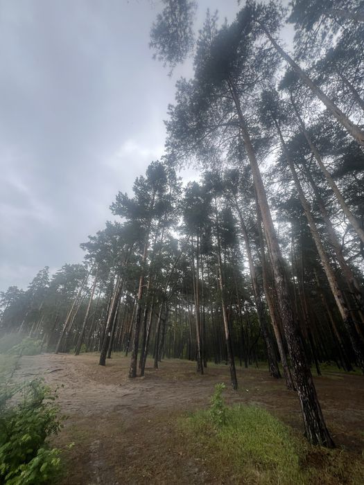 Продажа участка 108соток Вода Лес Таценки/земельна ділянка Ліс Вода