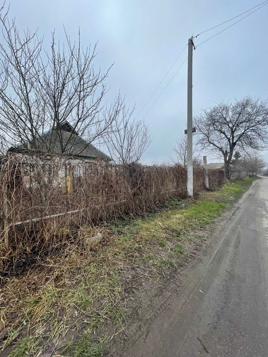Продажа земельного участка в с Ольшаница