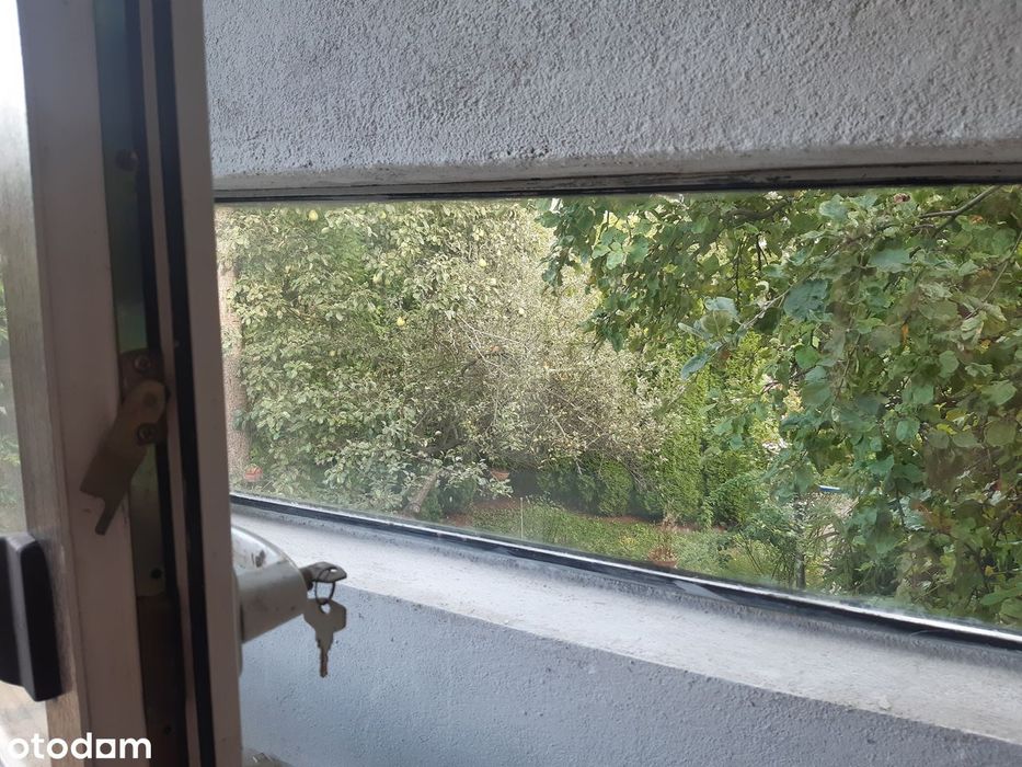 Działka ROD z domem w centrum Katowic
