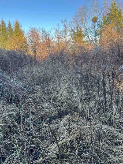 Дві ділянки за ціною однієї