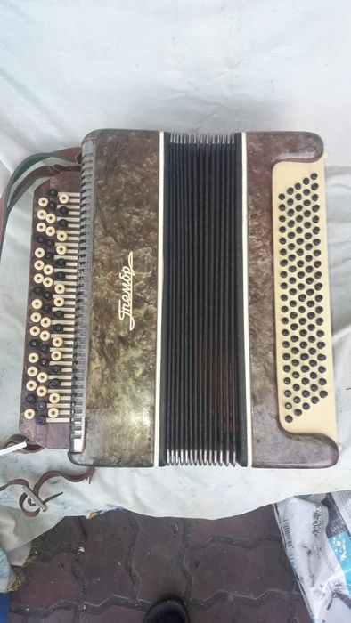 Музичний інструмент баян