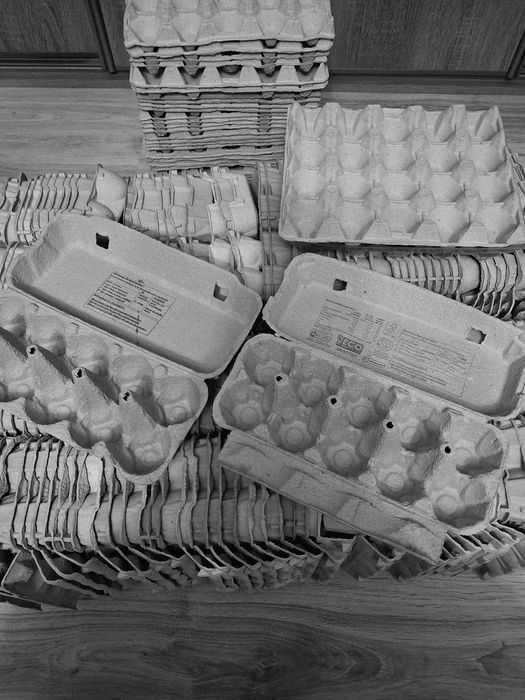 Pudełka na jaja wytłaczanki do jajek wytłoczki
