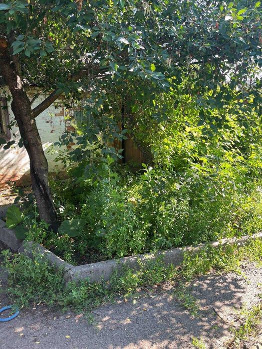 Терміново продам частину будинку в Золочеві