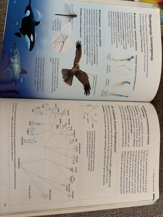 Biologia na czasie 3