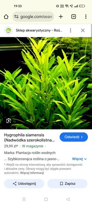 Rośliny Akwariowe mix