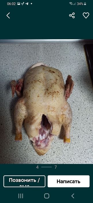 Мясо кролика,    томат. сок, домашнее