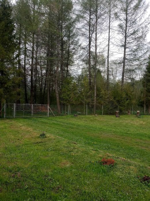 Domek do wynajęcia w Kalnicy koło Wetliny