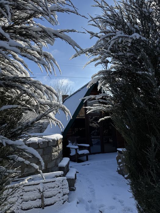 Готовий бізнес: 3 ділянки з житловим будинком